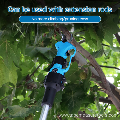 New hand-held electric fruit tree pruning shears